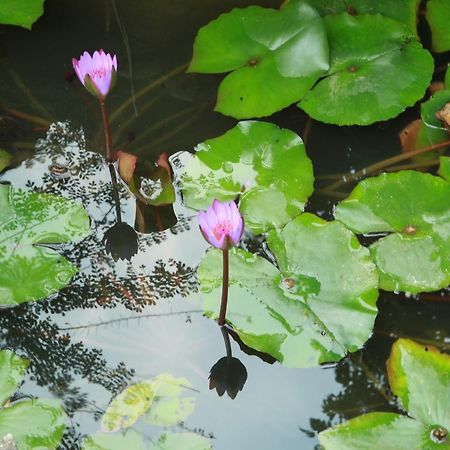 Khach San Linh Huong Son La Ngoại thất bức ảnh